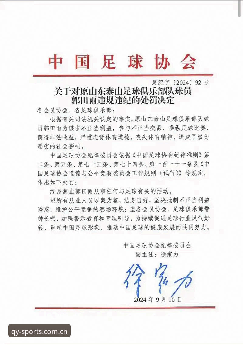 足协第三批禁足名单深度解读：从处罚细节看中国足球反腐完整指南